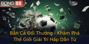 Ban Ca Oi Thuong Kham Pha The Gioi Giai Tri Hap Dan Tu Bong88