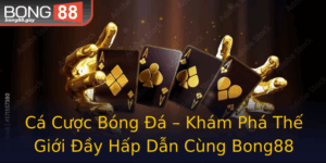 Ca Cuoc Bong A Kham Pha The Gioi Ay Hap Dan Cung Bong88