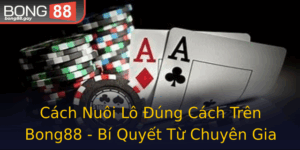 Cach Nuoi Lo Ung Cach Tren Bong88 Bi Quyet Tu Chuyen Gia