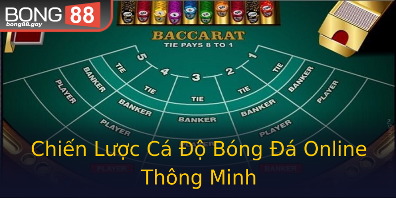 Chiến Lược Cá Độ Bóng Đá Online Thông Minh Chiến Lược Cá Độ Bóng Đá Online Thông Minh