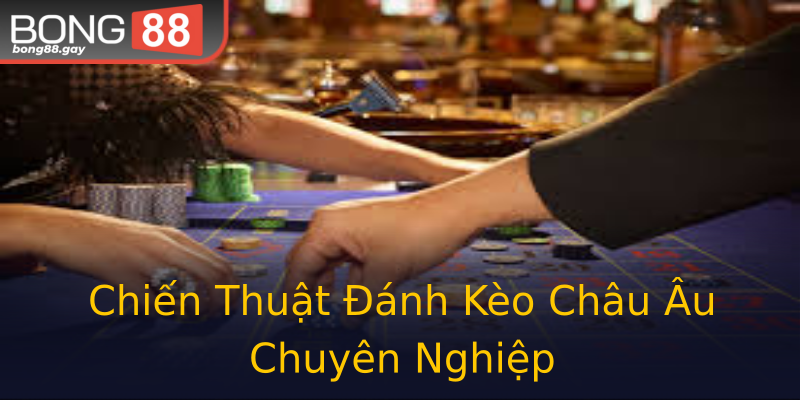 Chiến Thuật Đánh Kèo Châu Âu Chuyên Nghiệp
