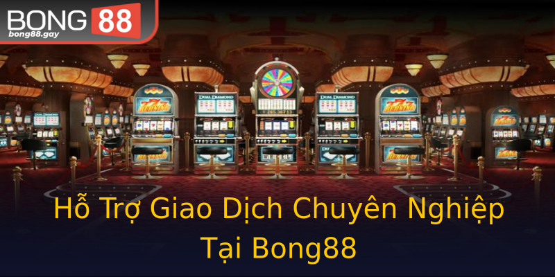 Hỗ Trợ Giao Dịch Chuyên Nghiệp Tại Bong88
