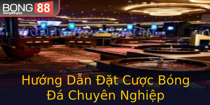 Hướng Dẫn Đặt Cược Bóng Đá Chuyên Nghiệp Hướng Dẫn Đặt Cược Bóng Đá Chuyên Nghiệp