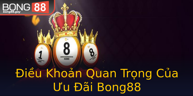 Điều Khoản Quan Trọng Của Ưu Đãi Bong88