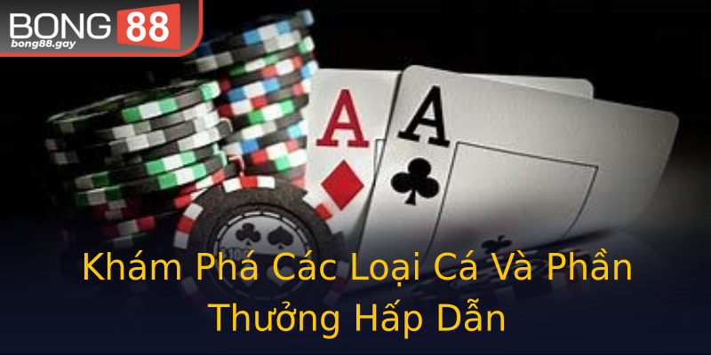 Khám Phá Các Loại Cá Và Phần Thưởng Hấp Dẫn Khám Phá Các Loại Cá Và Phần Thưởng Hấp Dẫn