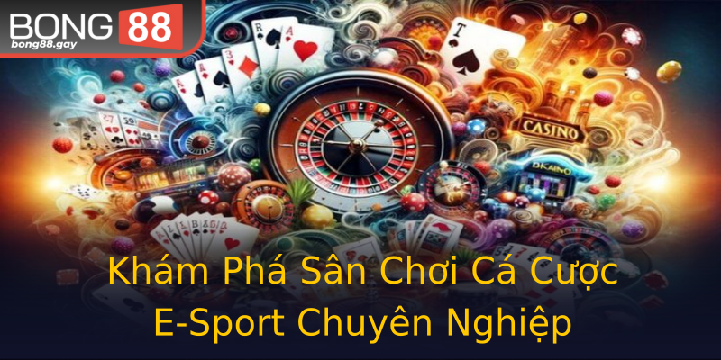 Khám Phá Sân Chơi Cá Cược E-Sport Chuyên Nghiệp Khám Phá Sân Chơi Cá Cược E-Sport Chuyên Nghiệp