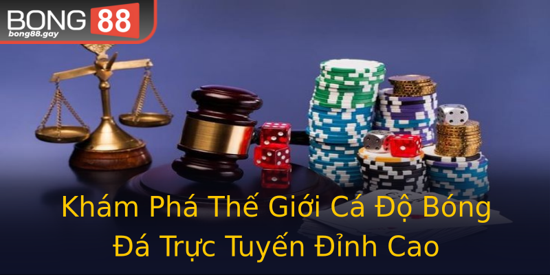 Khám Phá Thế Giới Cá Độ Bóng Đá Trực Tuyến Đỉnh Cao Khám Phá Thế Giới Cá Độ Bóng Đá Trực Tuyến Đỉnh Cao