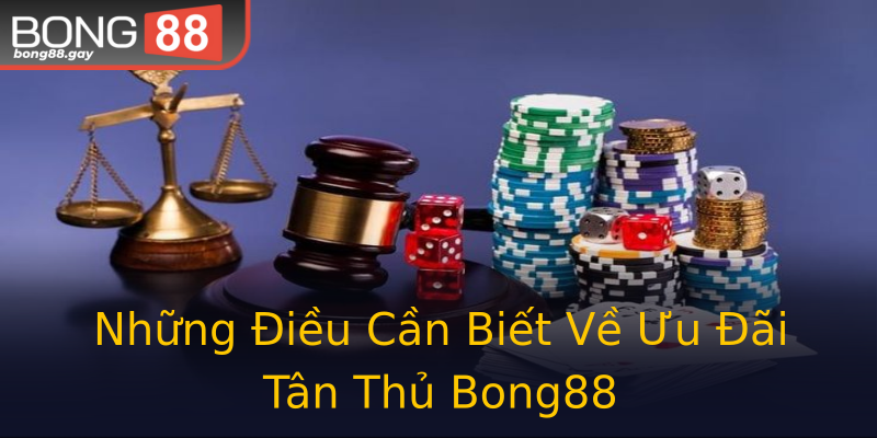 Những Điều Cần Biết Về Ưu Đãi Tân Thủ Bong88 Những Điều Cần Biết Về Ưu Đãi Tân Thủ Bong88