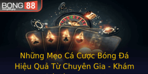 Nhung Meo Ca Cuoc Bong A Hieu Qua Tu Chuyen Gia Kham Pha Cung Bong88